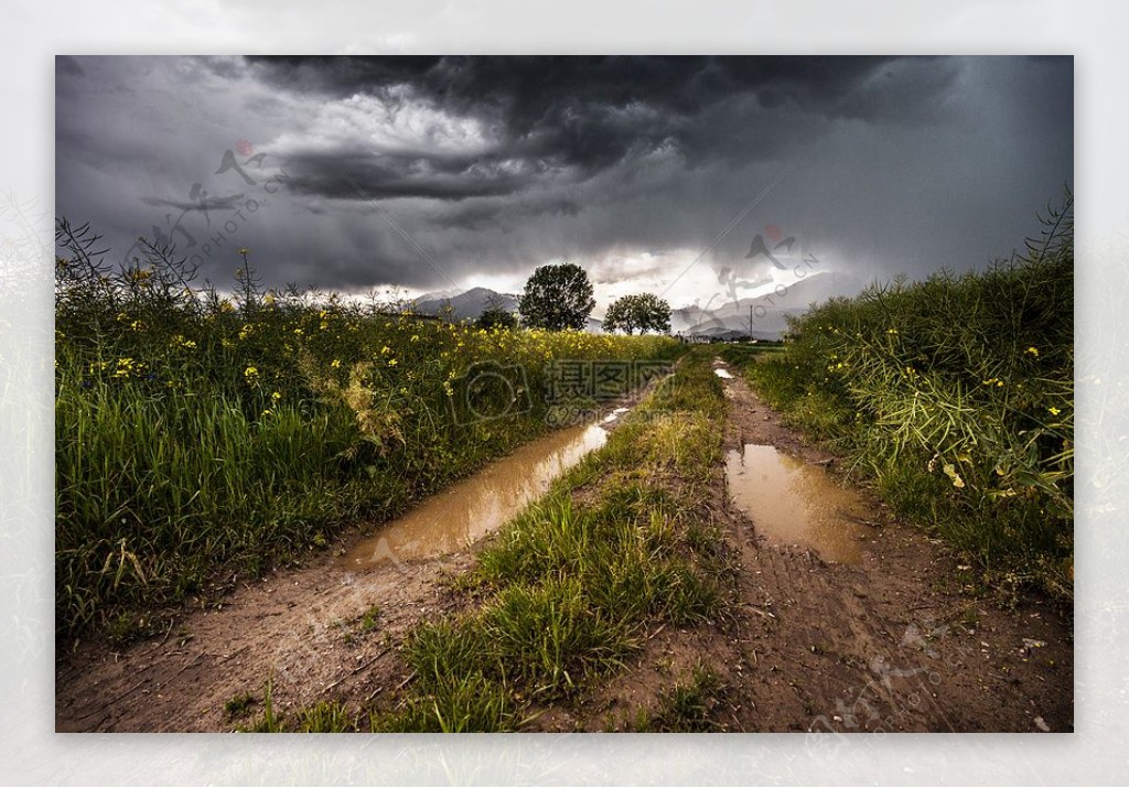 场雷雨多雨草甸雨风雨如磐农村国家车道水坑公共领域图像