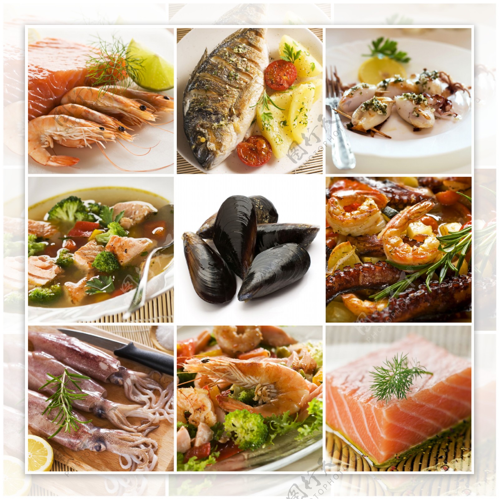 海鲜食材与美食图片