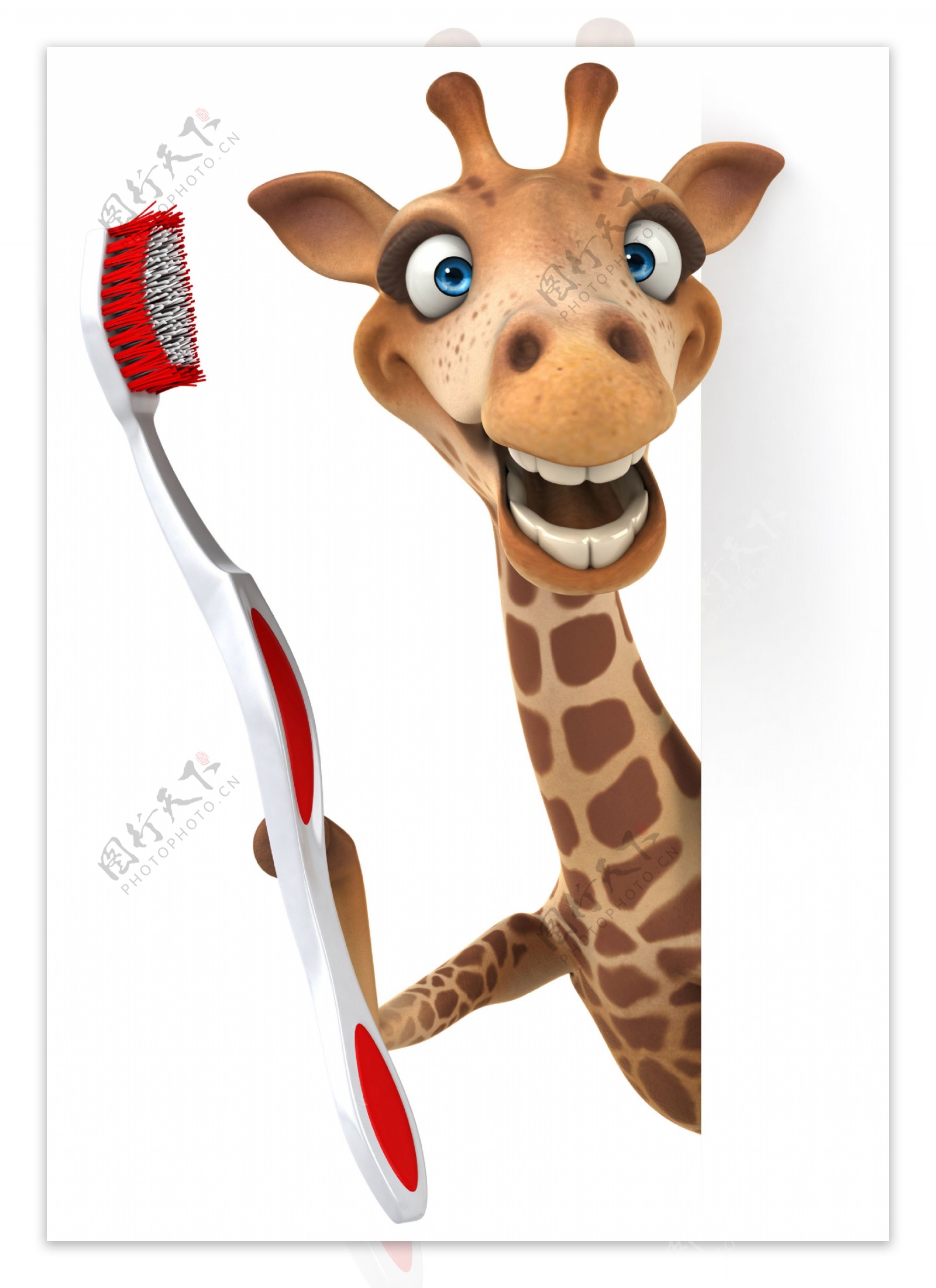 长颈鹿与牙刷图片