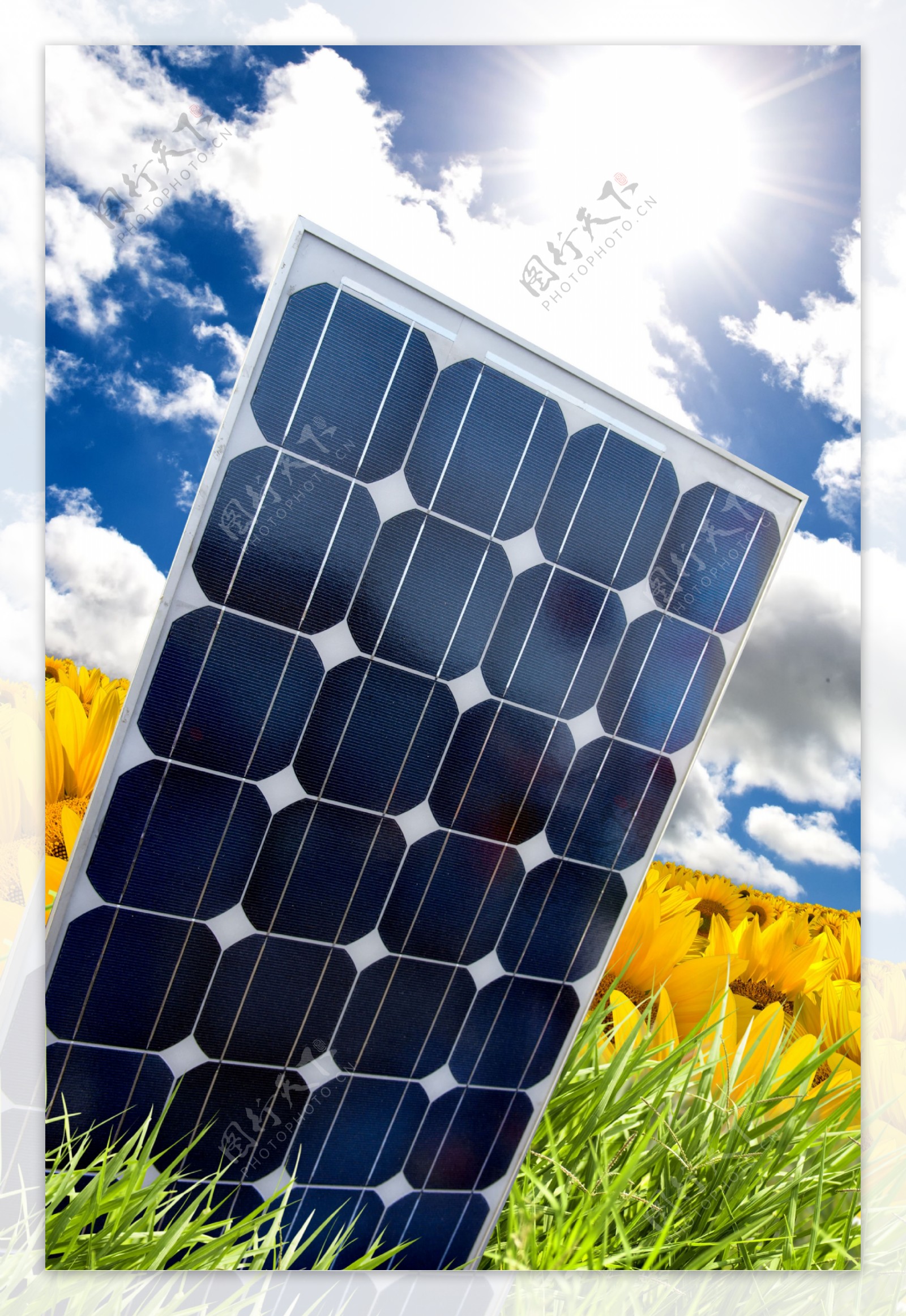 草地花田间的太阳能集热板图片