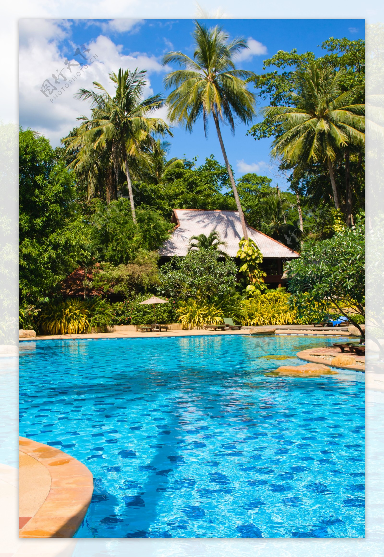 热带游泳池景色图片