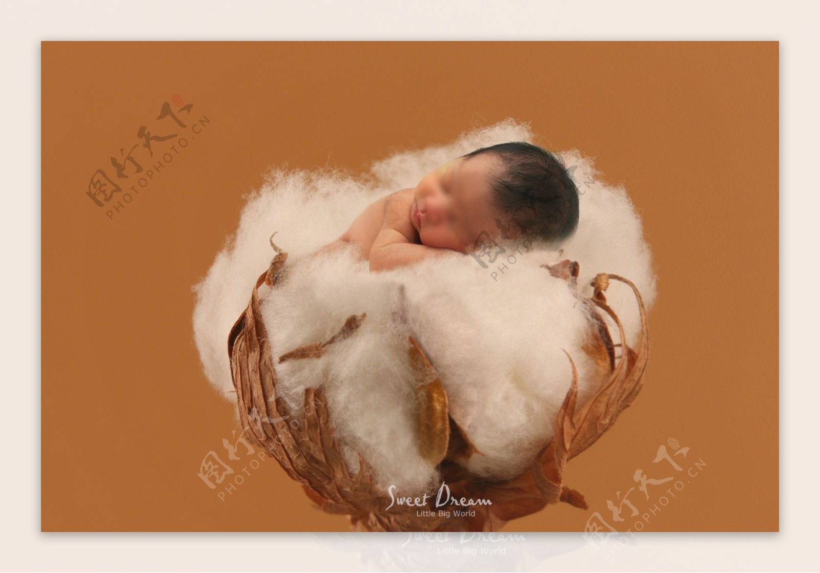 棉花婴儿主题海报