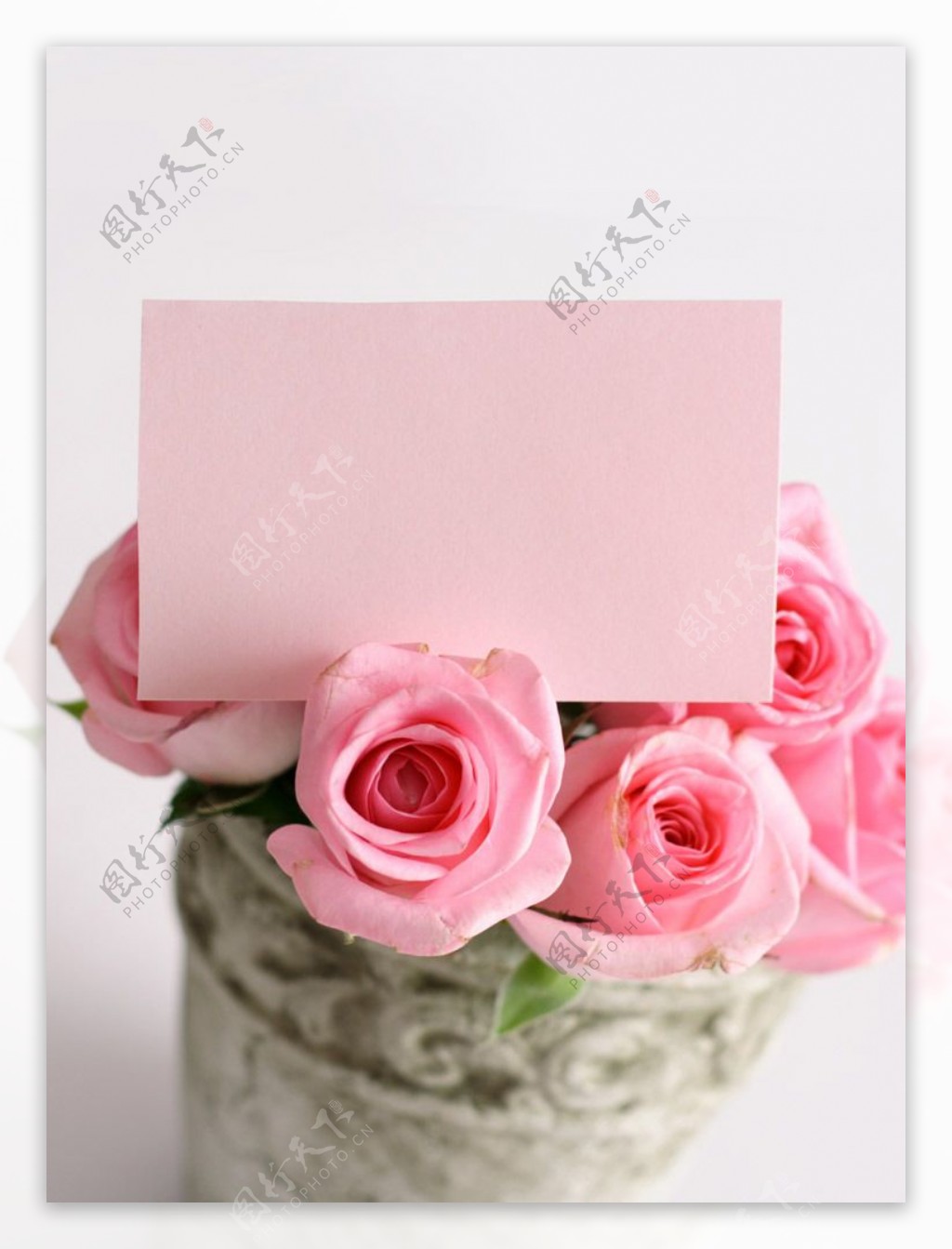 玫瑰花与贺卡图片