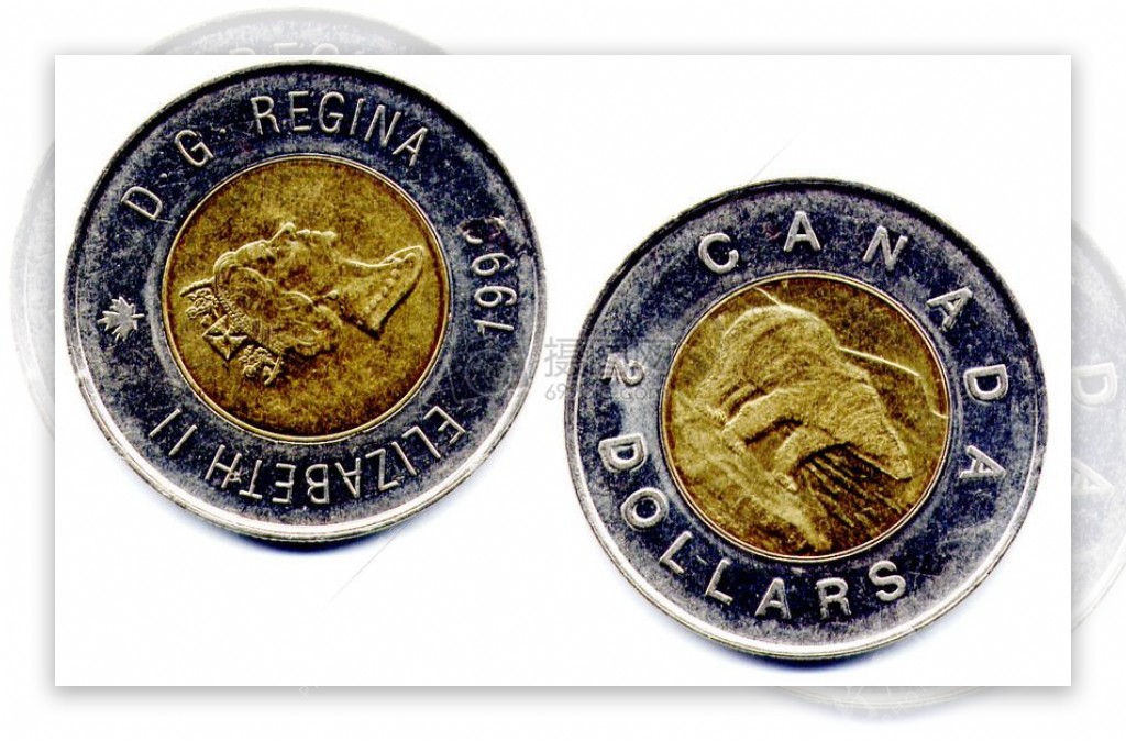 加拿大钱3