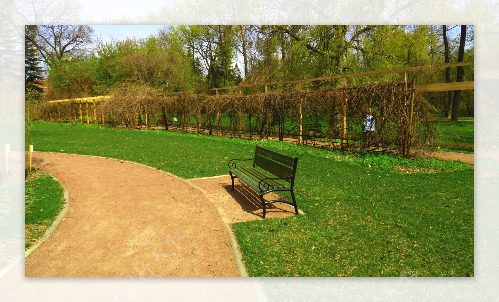 公园里的长椅图片