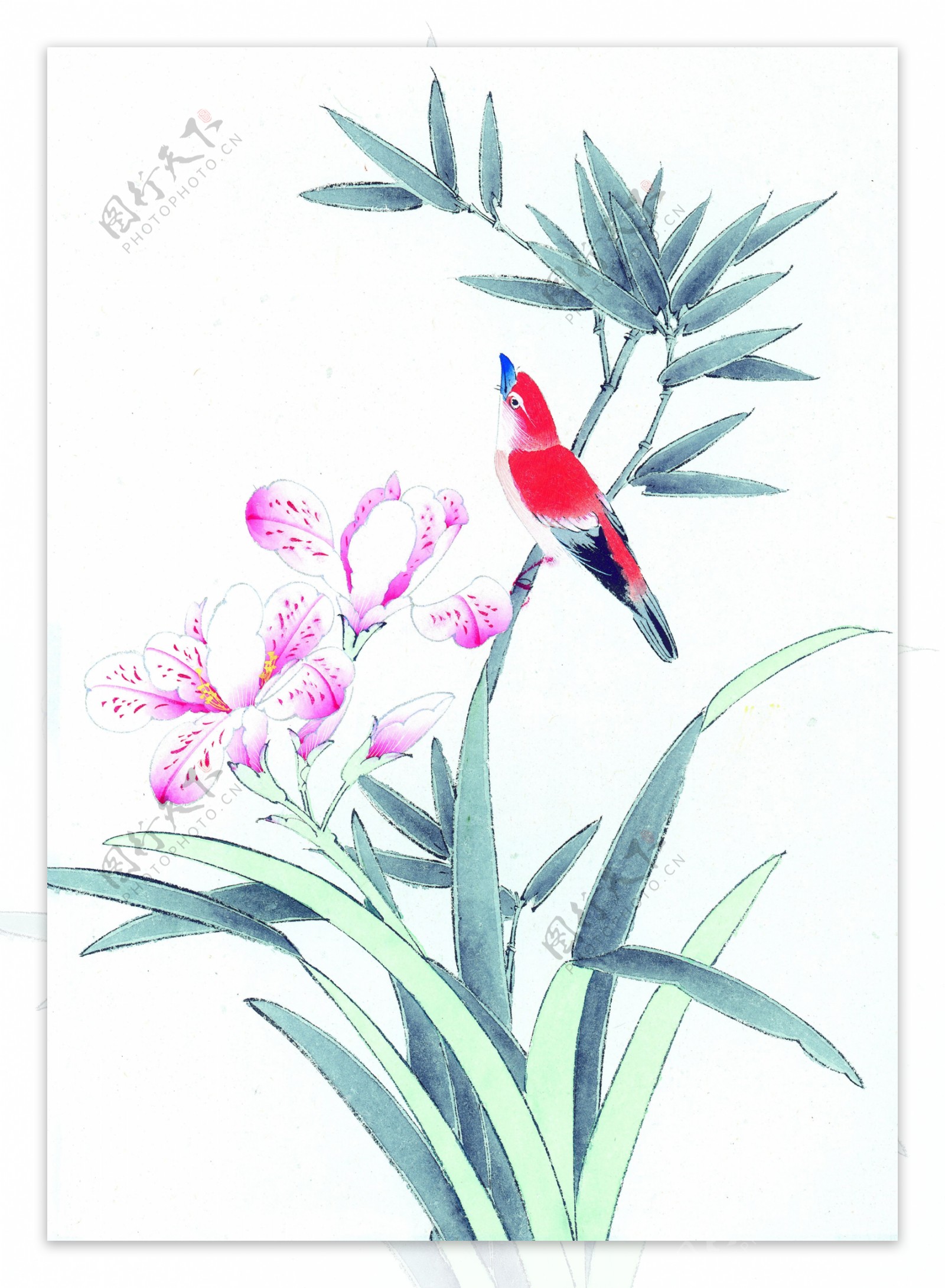 水墨兰花喜鹊图片