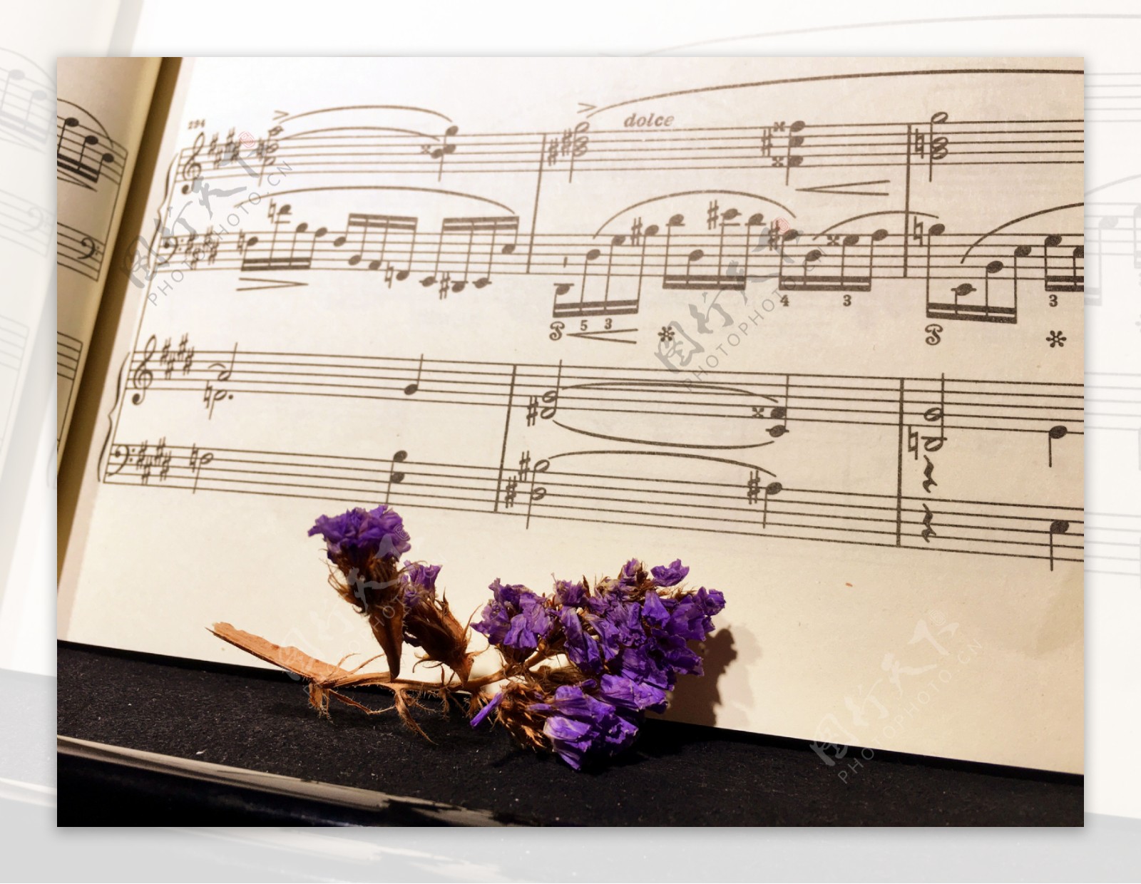 钢琴谱和花