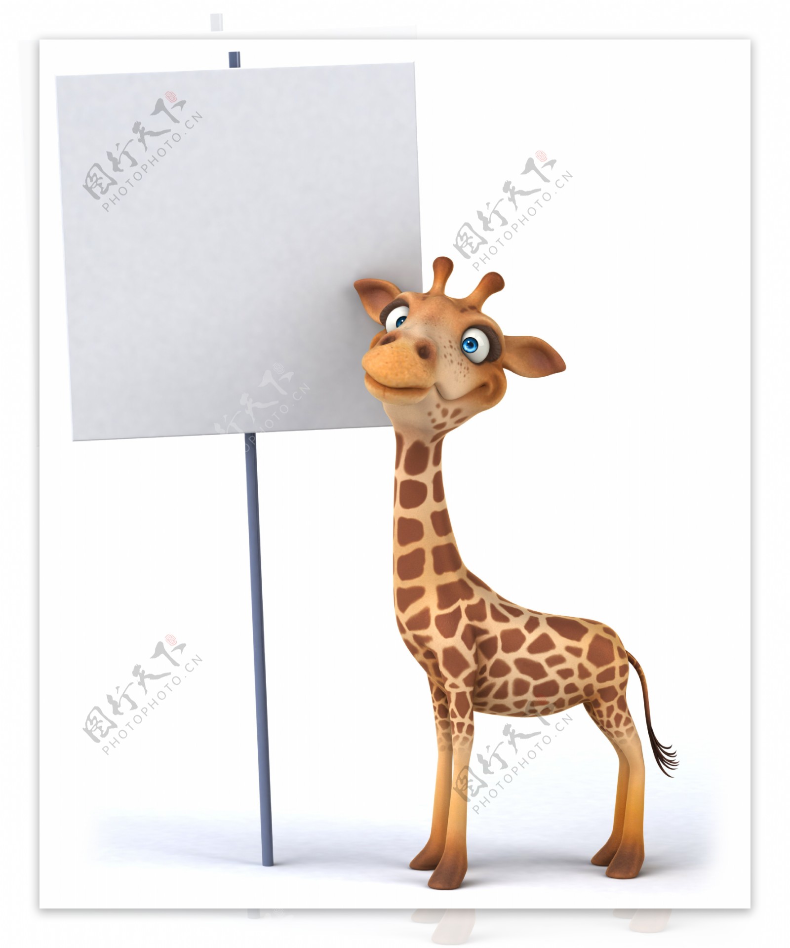长颈鹿和白板图片