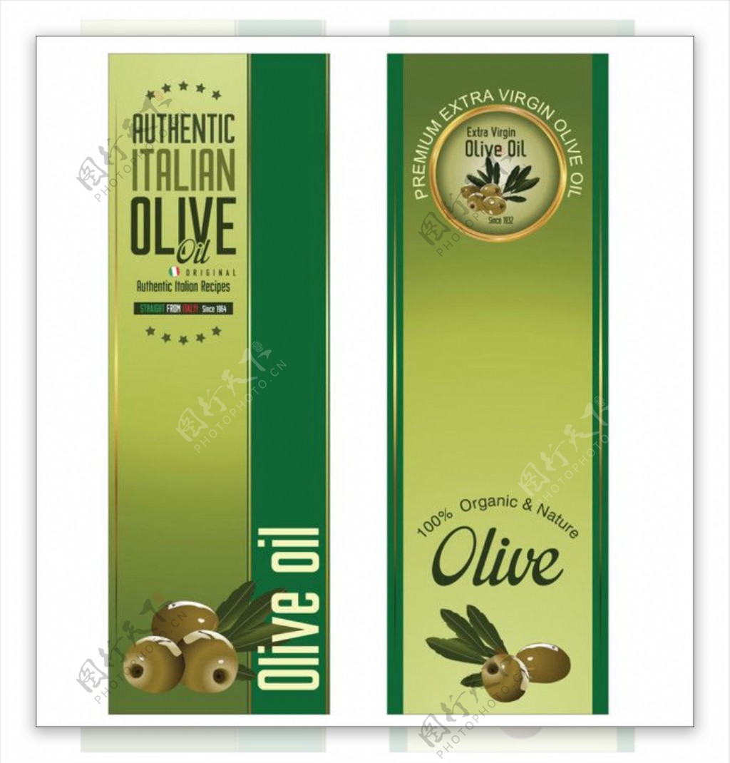 绿色橄榄油标签图片