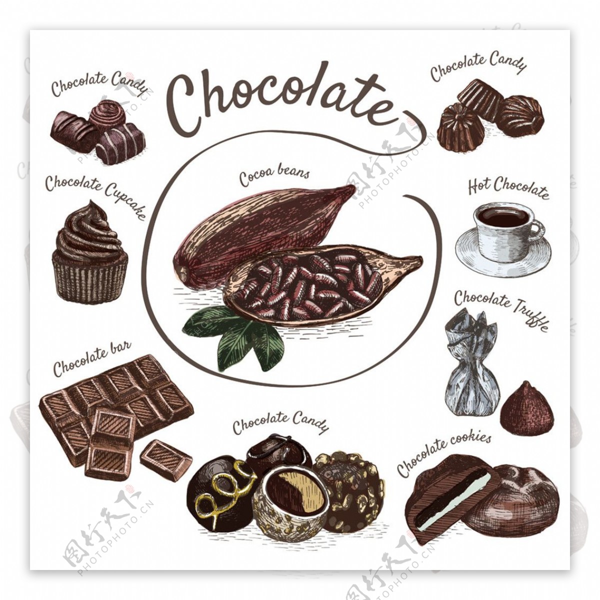 卡通可可豆巧克力图片