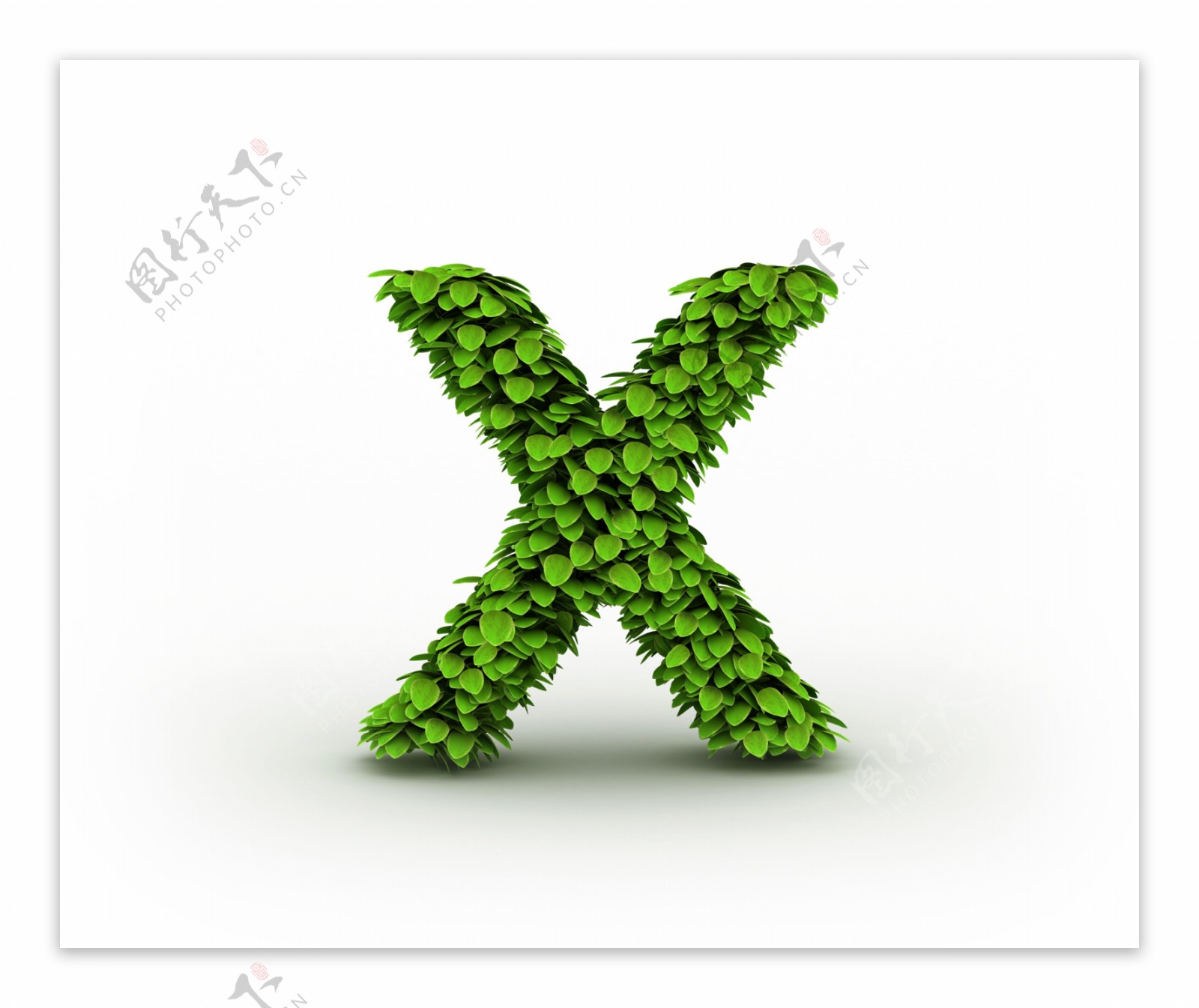 绿叶立体字母x