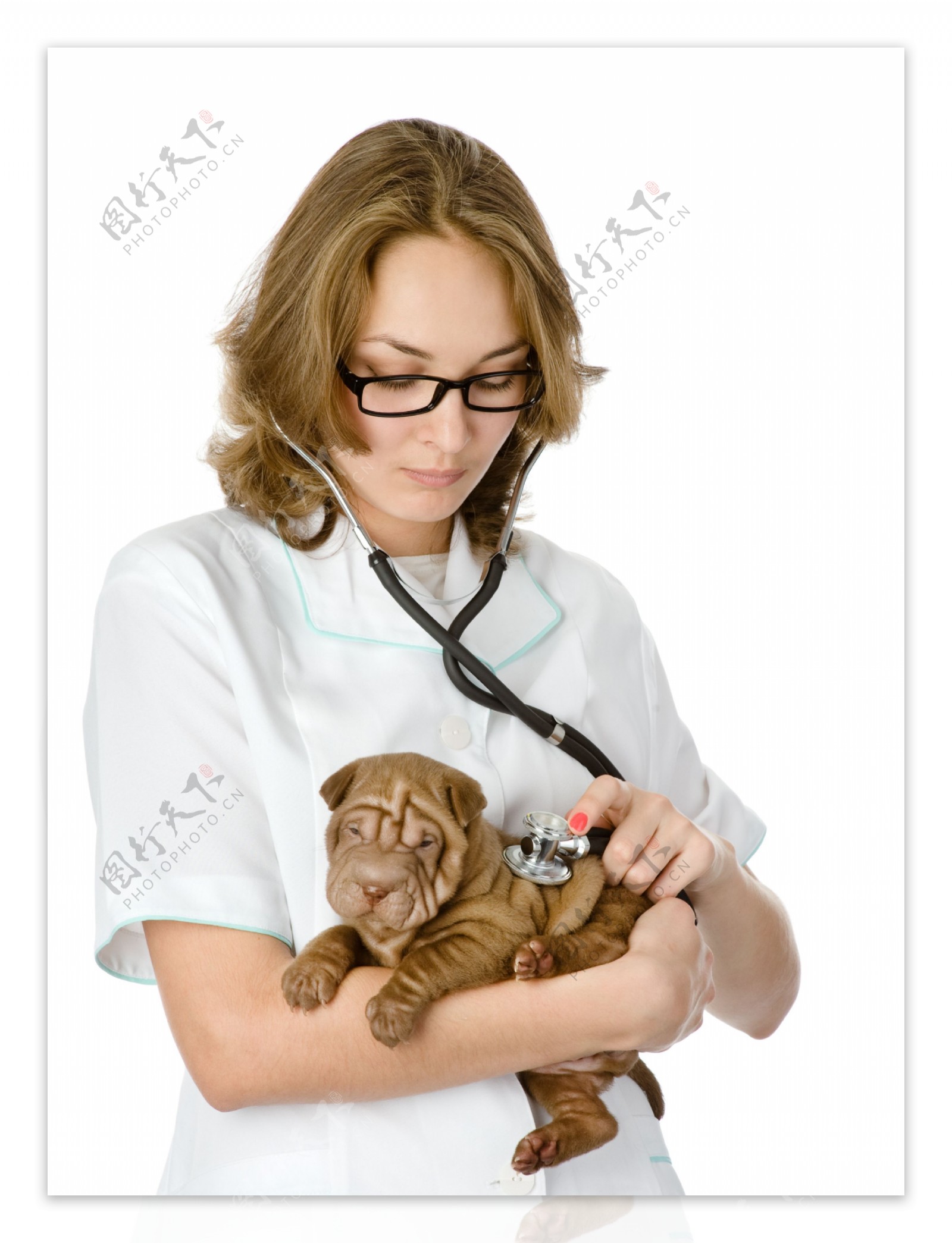 抱着沙皮狗的美女兽医图片