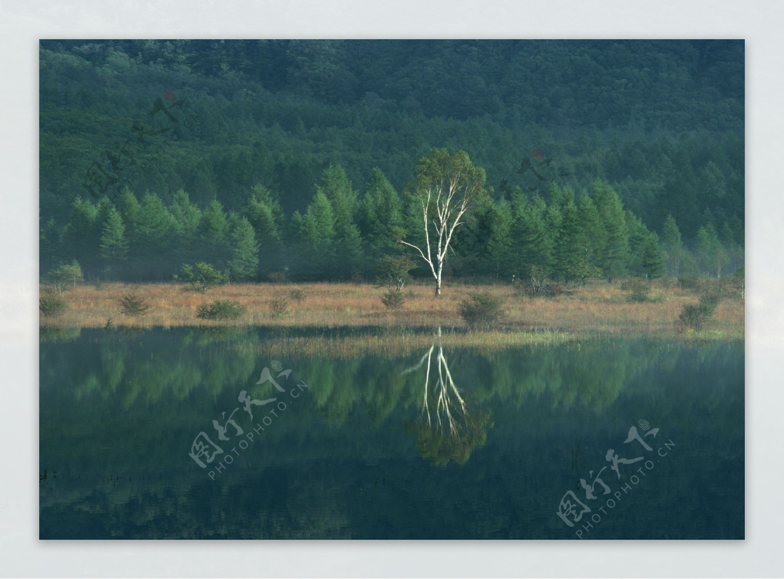 湖泊美景摄影图片