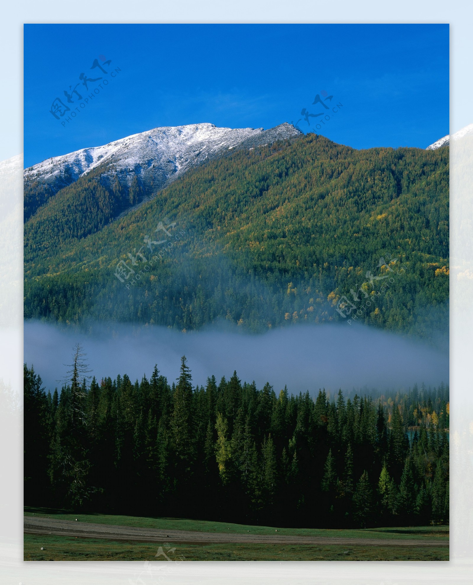 高山绿树云雾景色图片