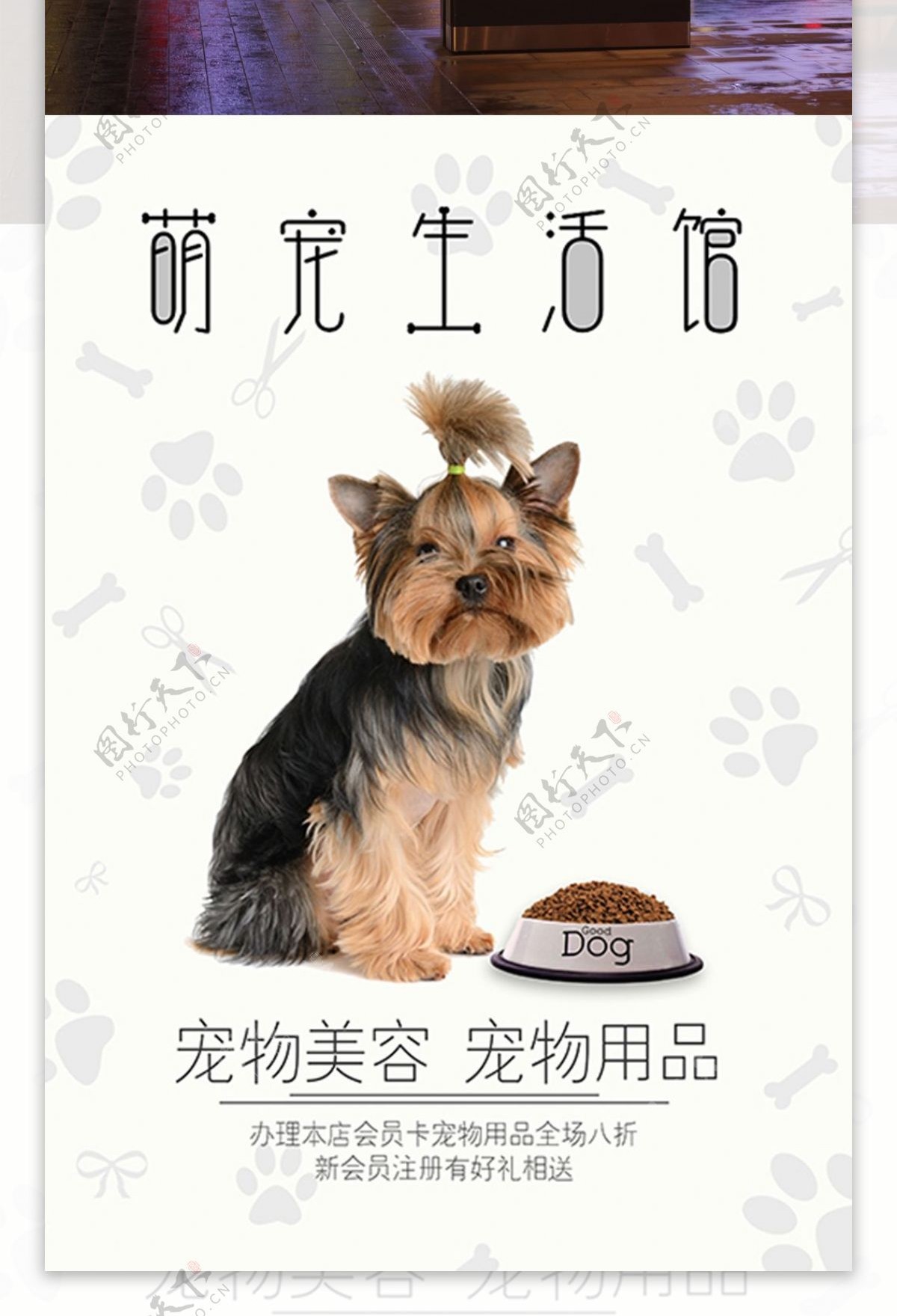 简约萌宠宠物店海报设计