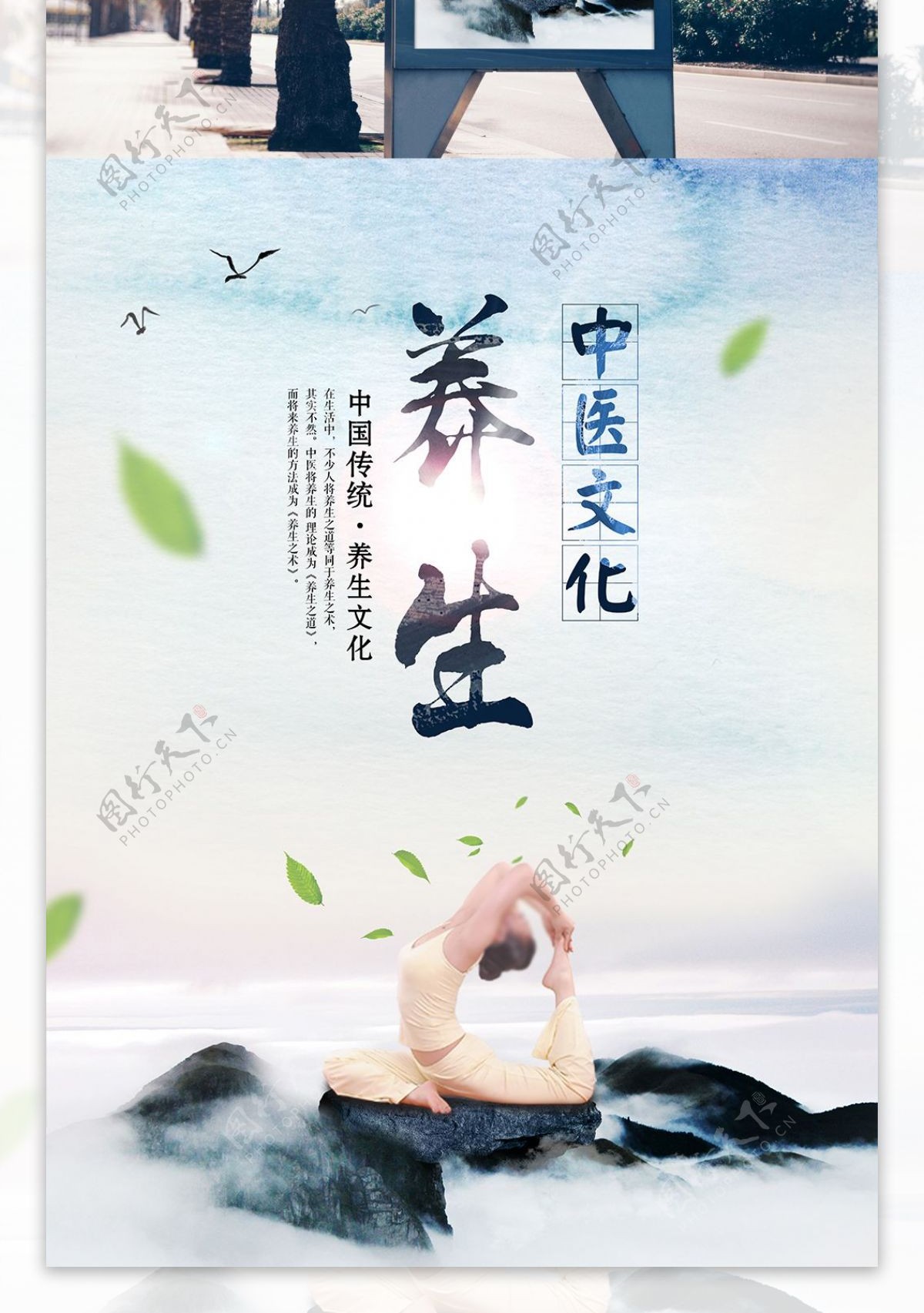 中医传统养生文化宣传海报