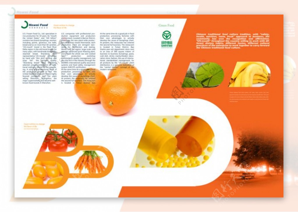 水果类产品宣传画册