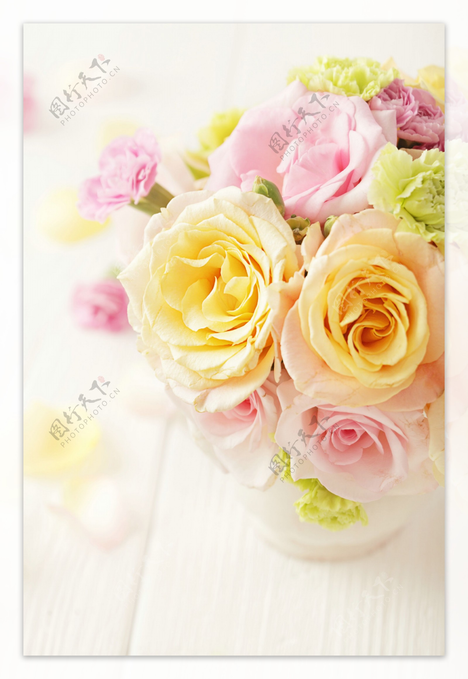 美丽玫瑰花瓶图片