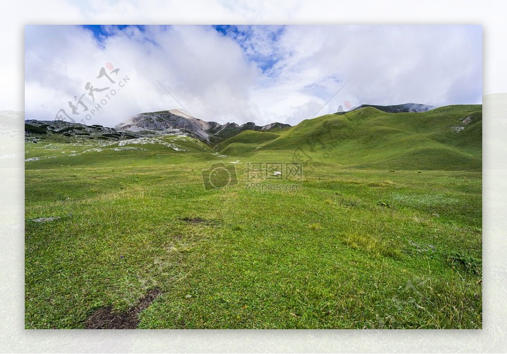 景观山草草地丘陵草原