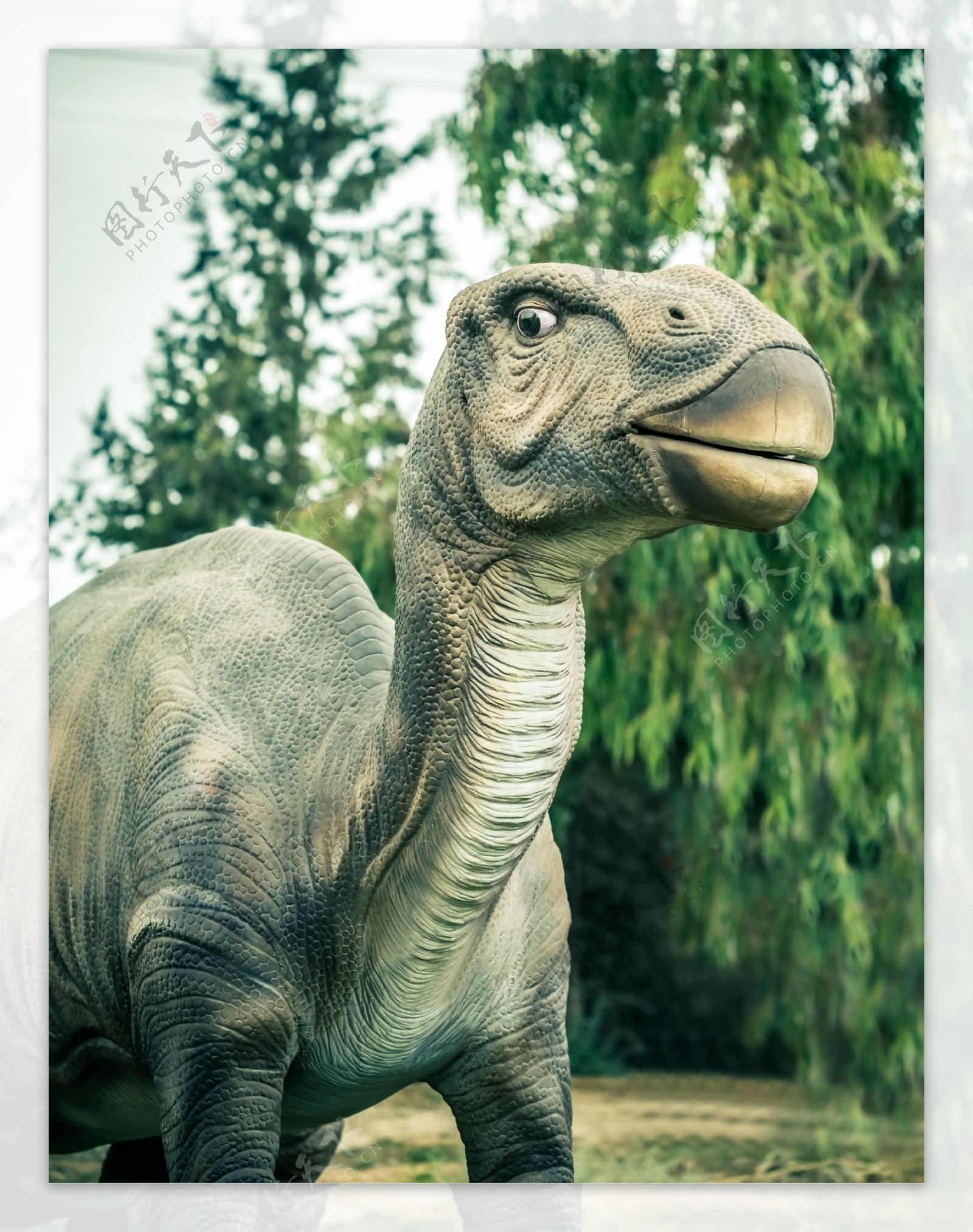 恐龙模型图片