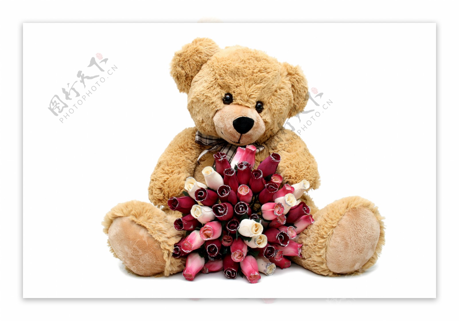 拿着玫瑰花的泰迪熊图片