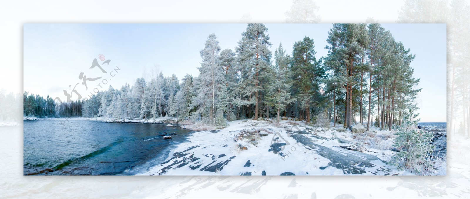 冬天的湖面树林风景图片