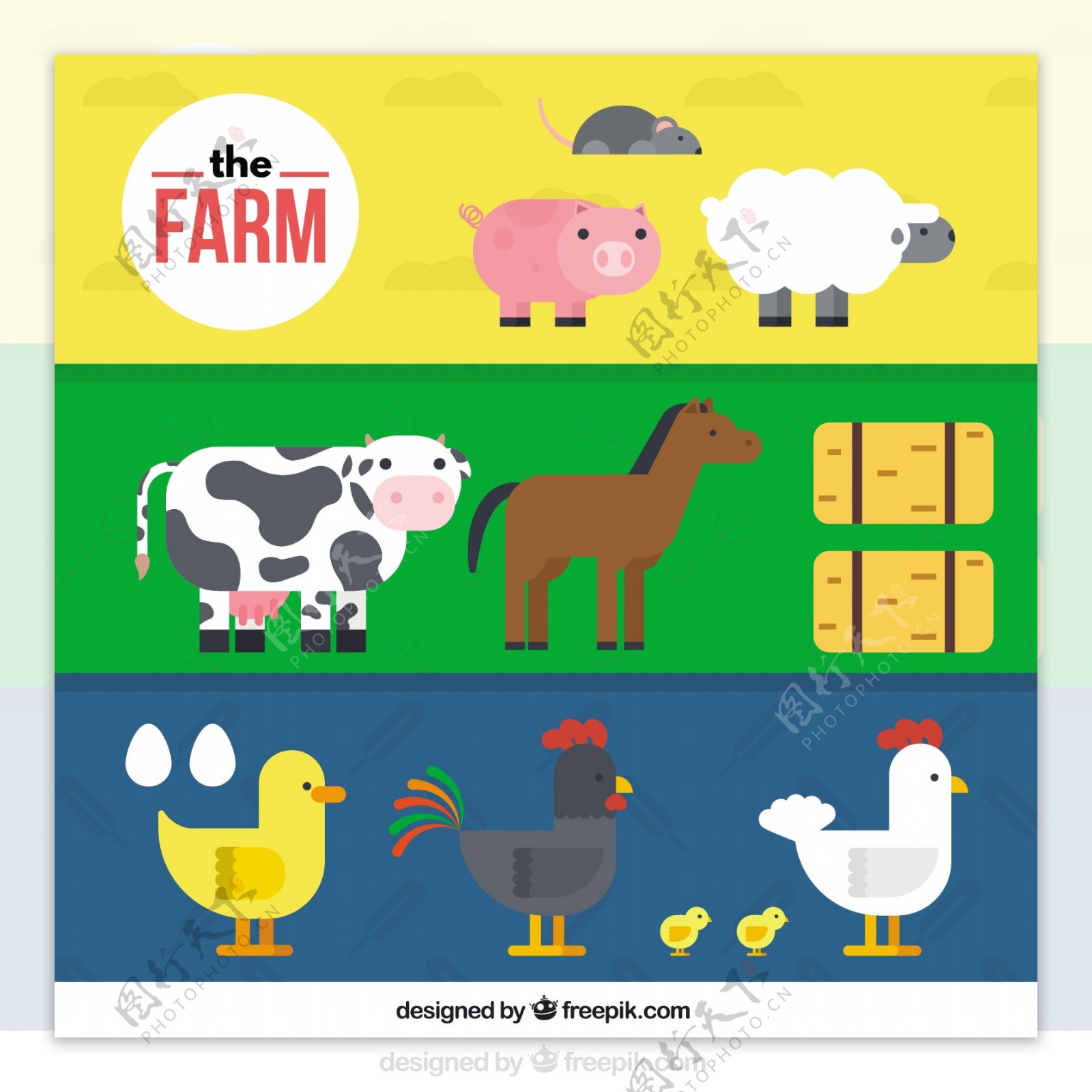 农场动物的集合