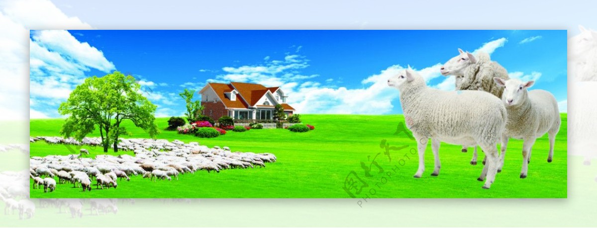 草原牧羊促销海报