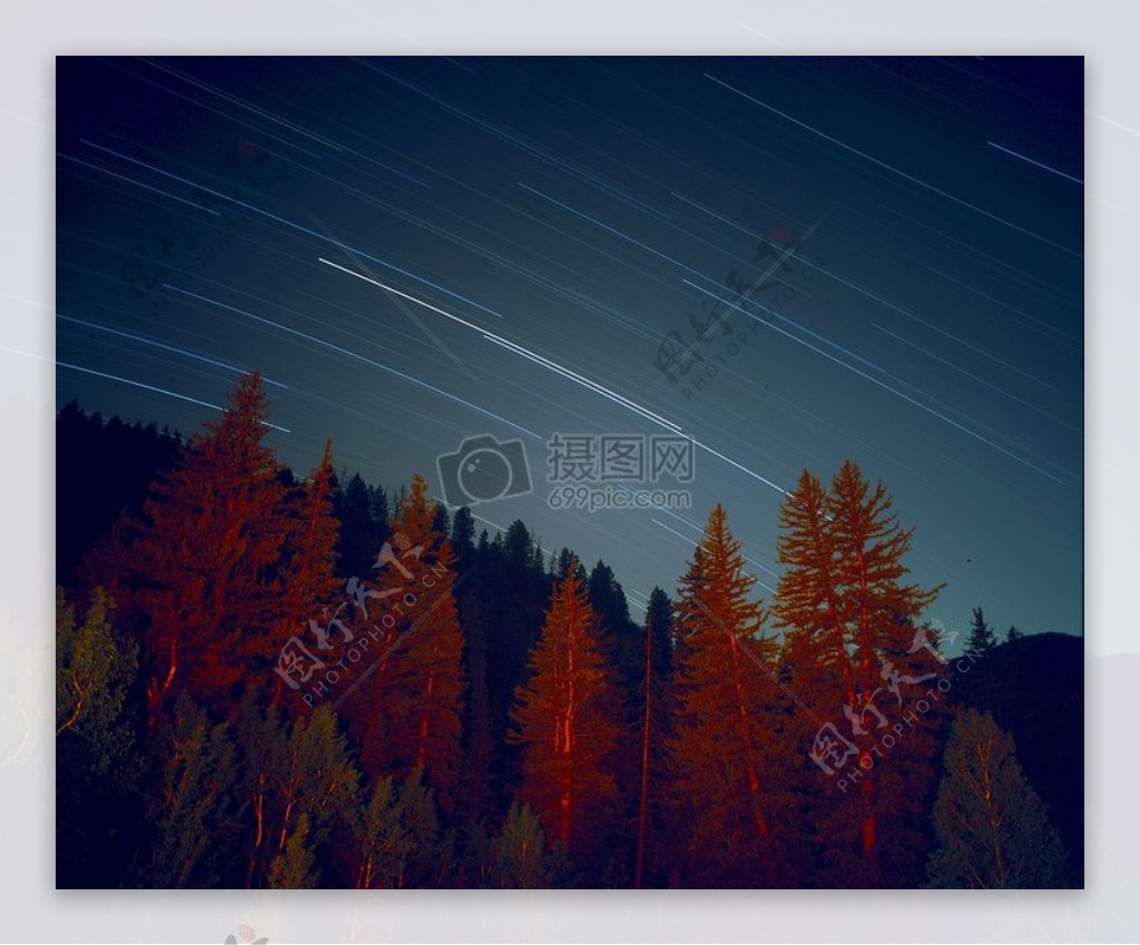 天空晚上森林树木星星长时间曝光公共领域图像