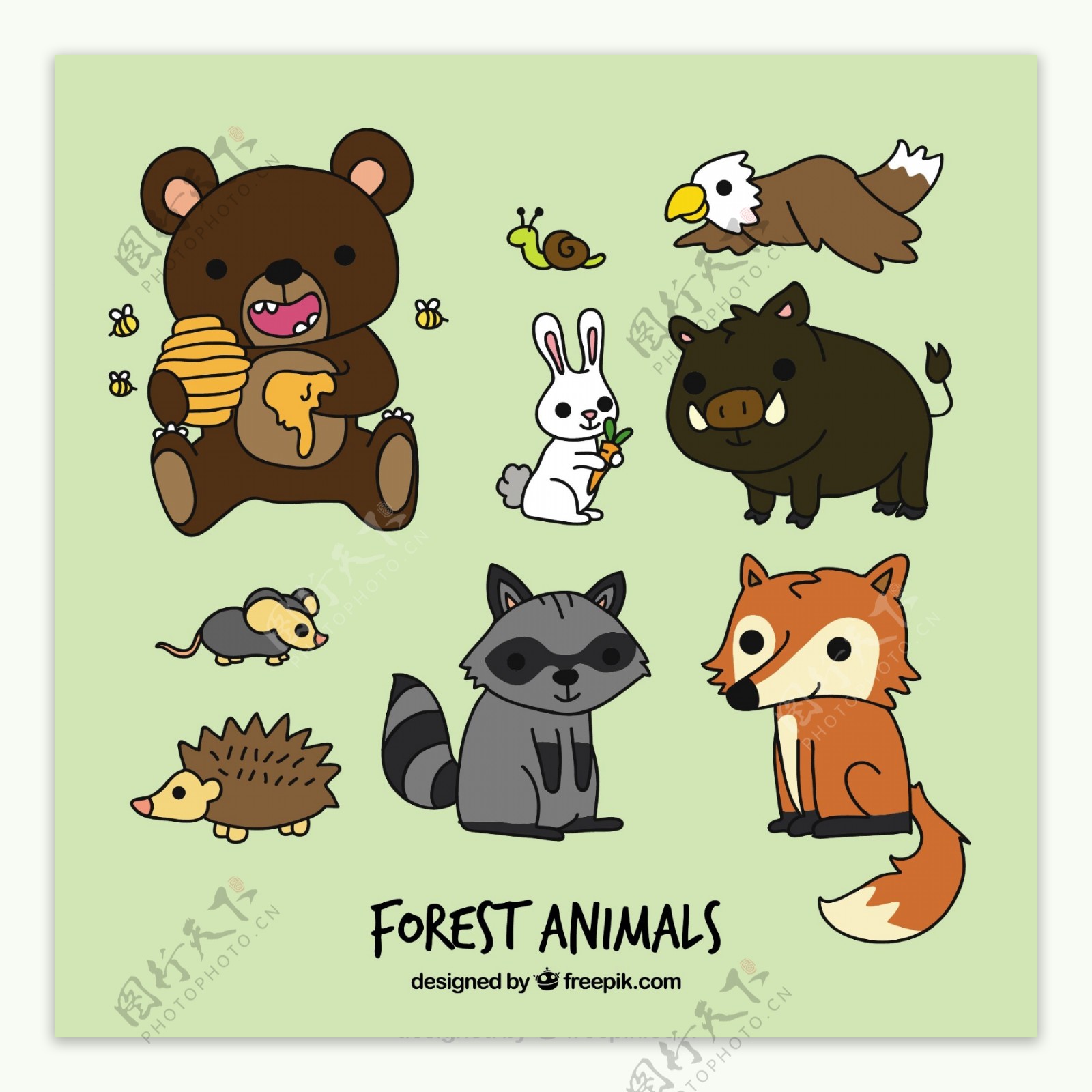 有趣的卡通森林动物
