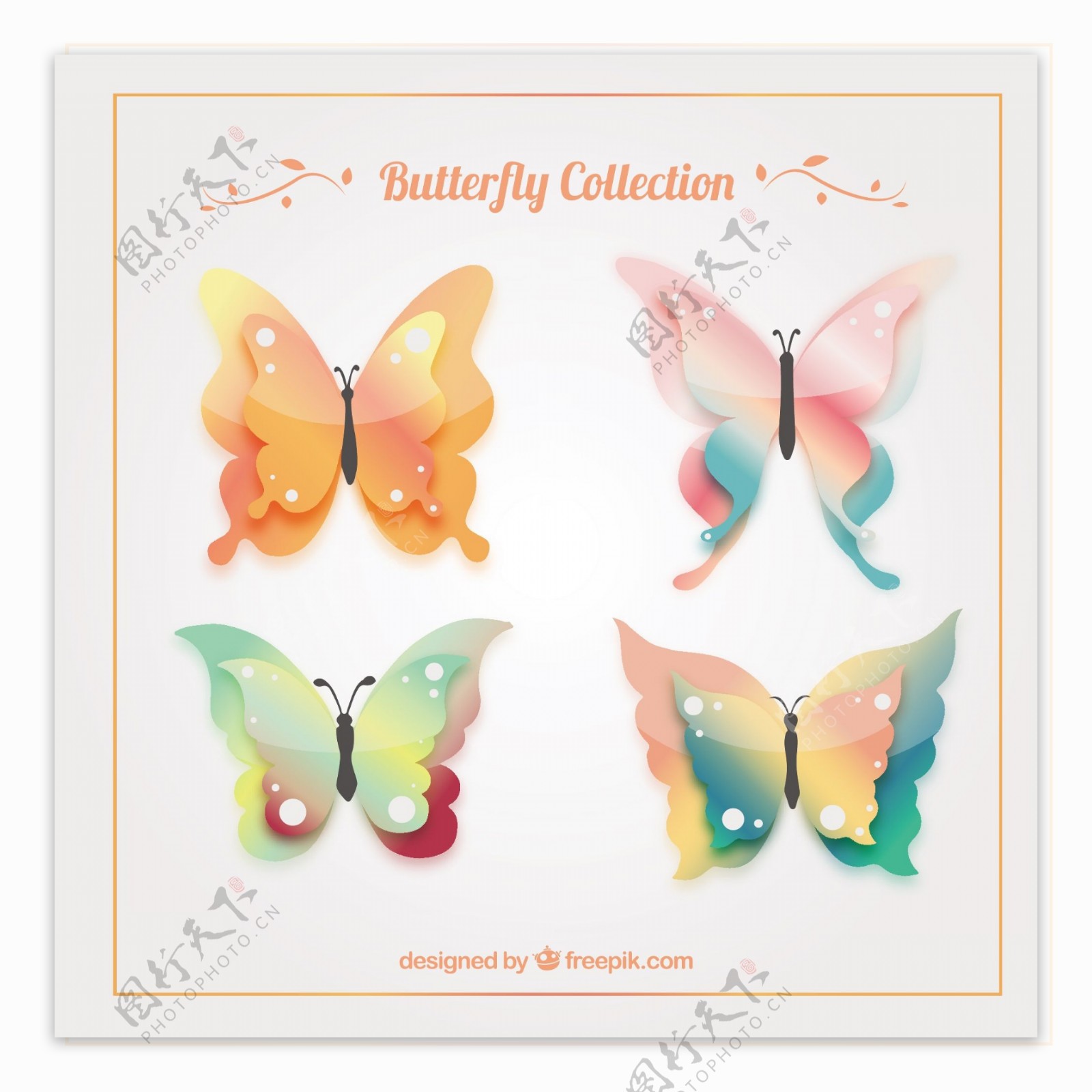 装饰和观赏蝴蝶包