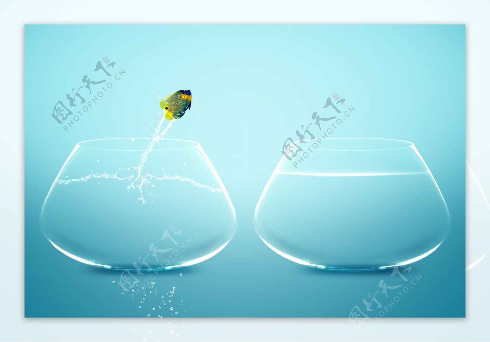玻璃鱼缸和跳跃的鱼图片
