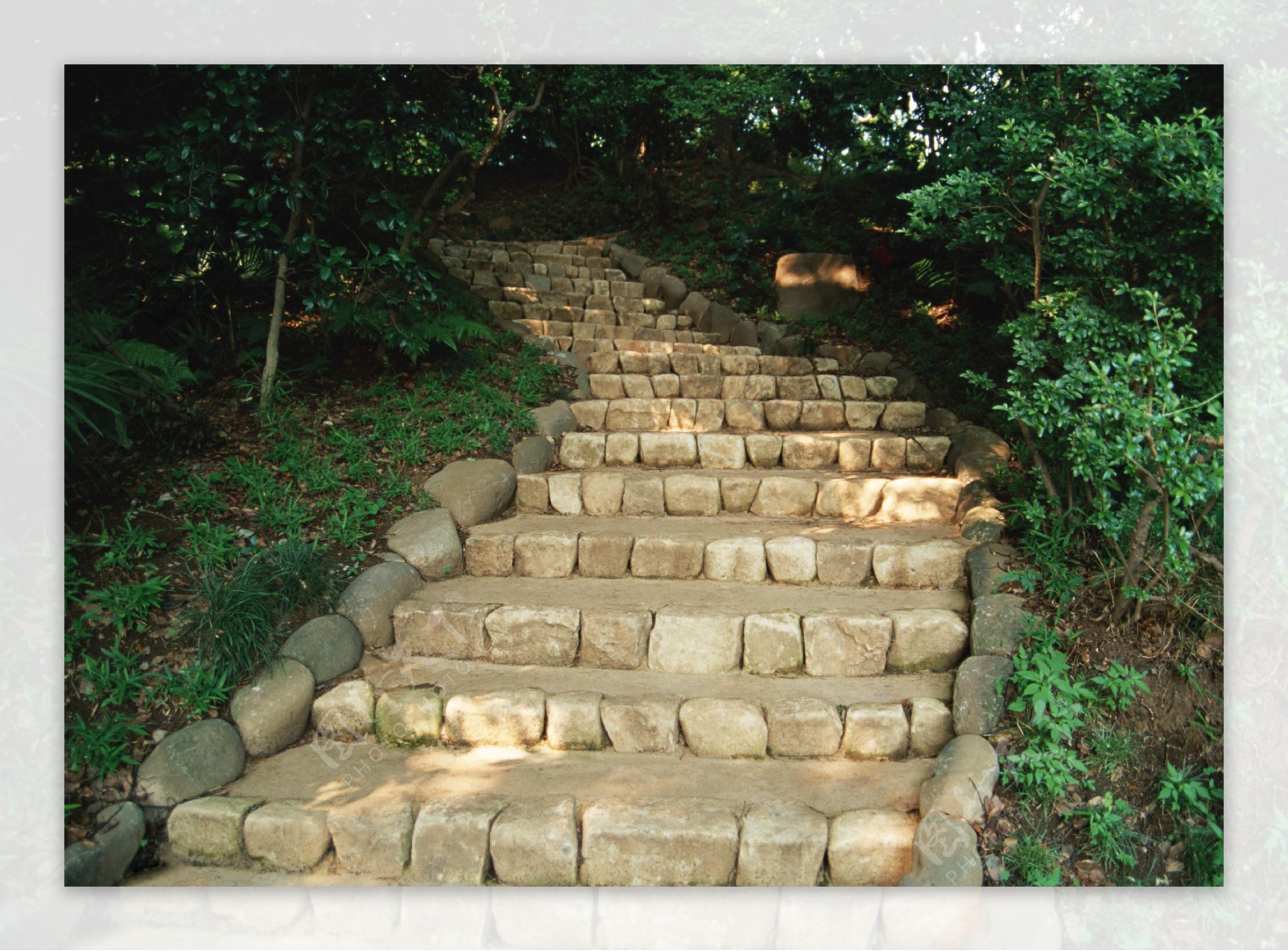 石阶梯道路风景图片