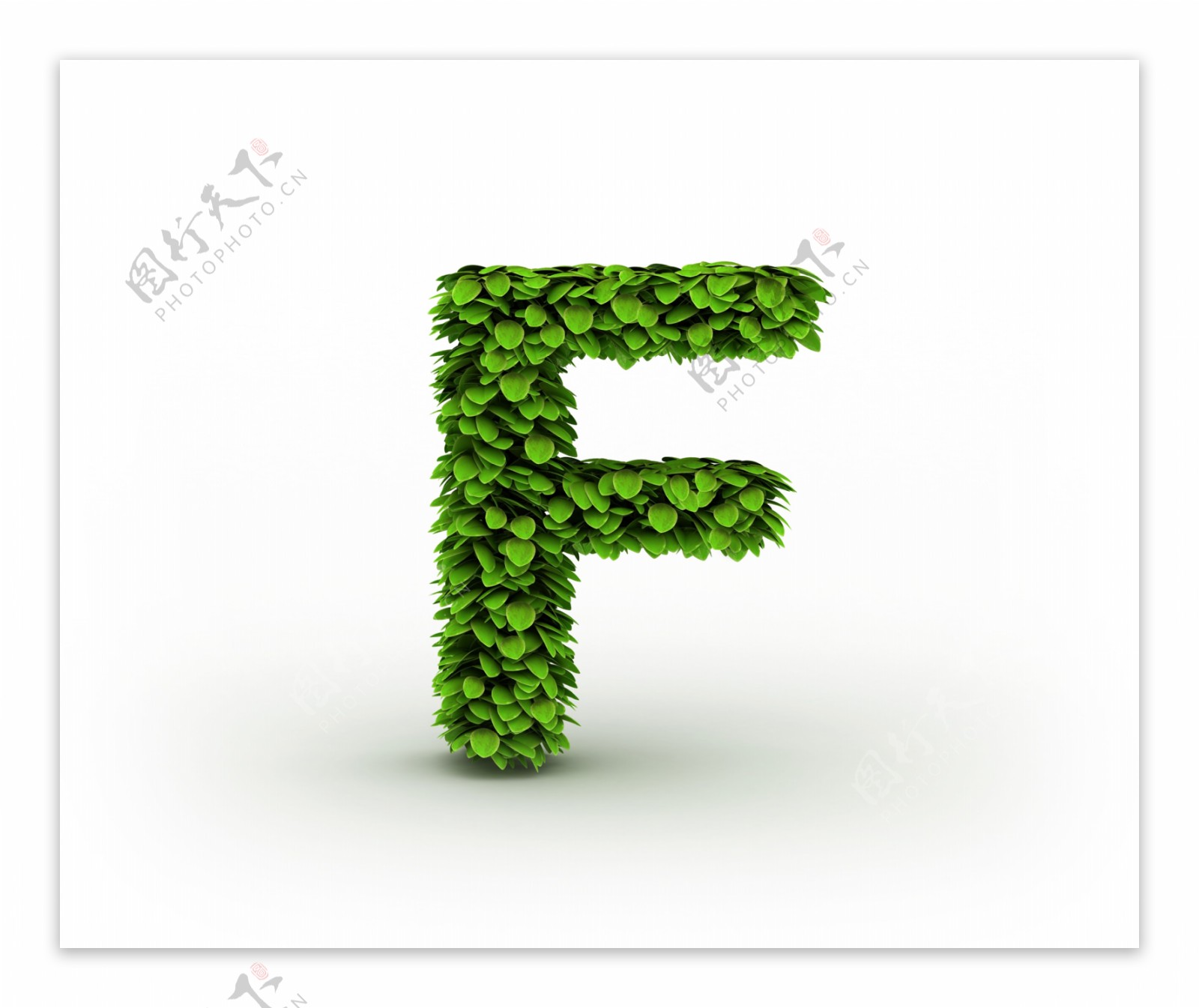绿叶组成的F图片