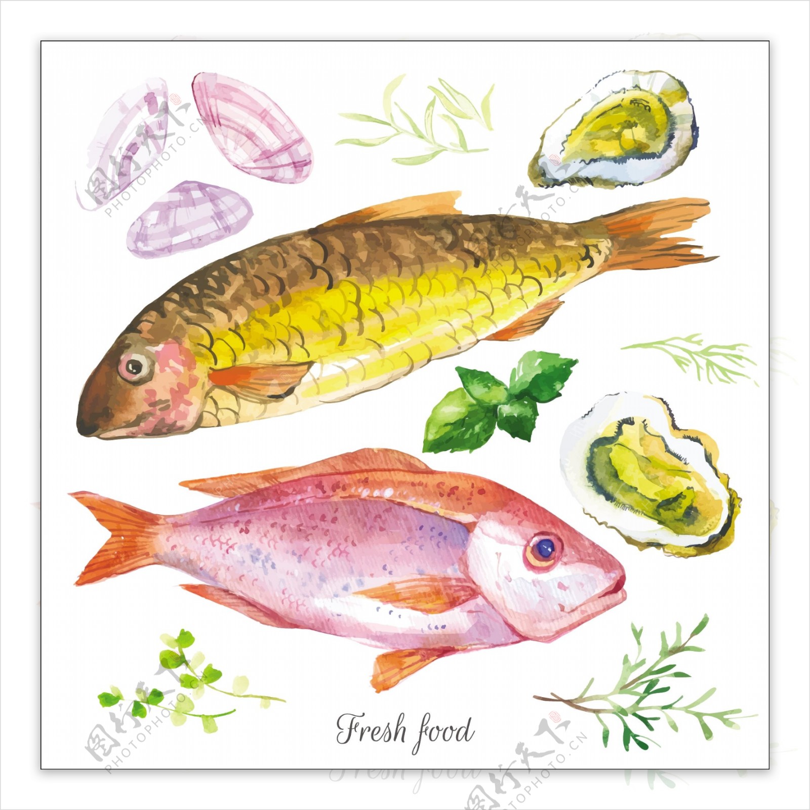 手绘鱼水彩夏日海洋动物元素