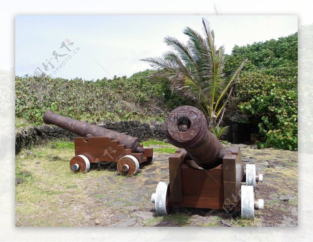 岛上防御加农炮