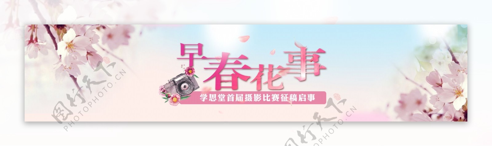 早春花事网站banner