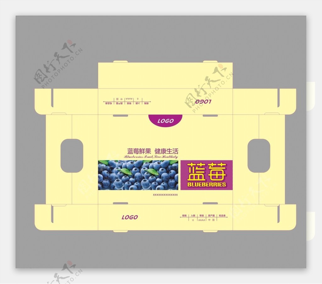 蓝莓包装图片