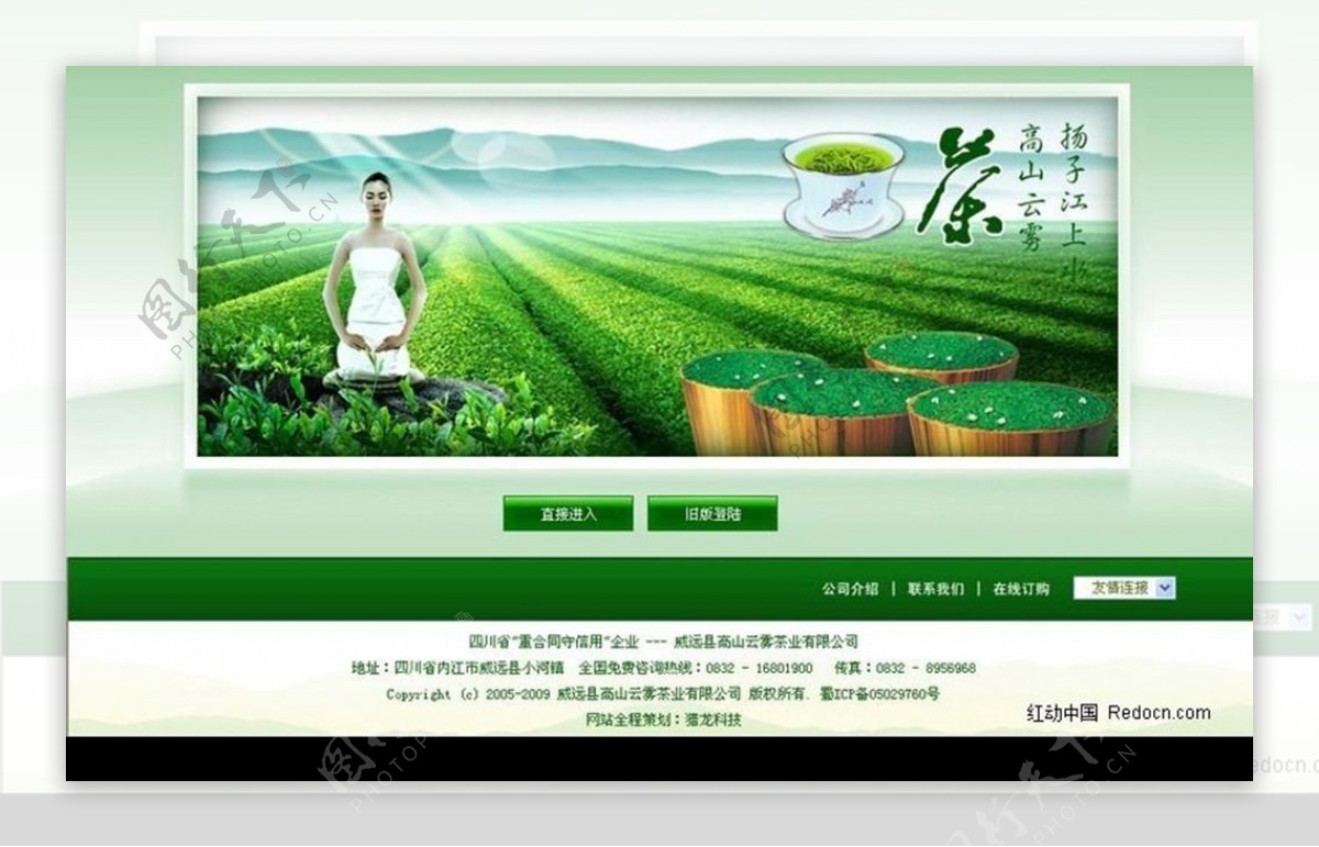 茶业公司网站首页网页模板