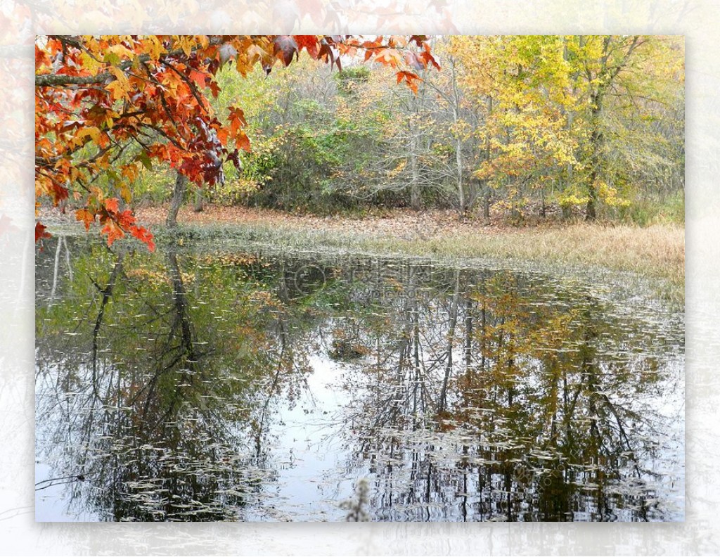 秋天的湖水湖面