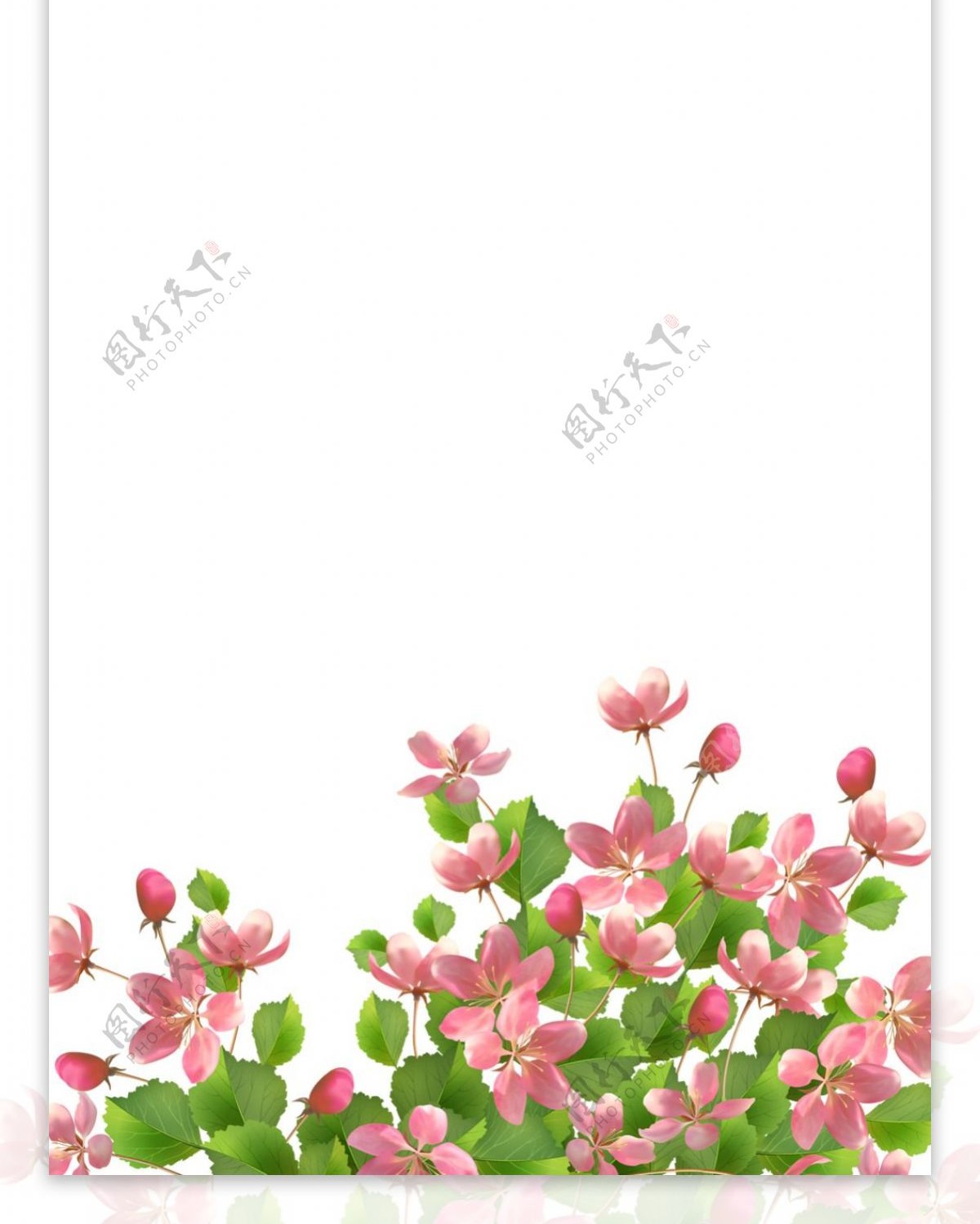 精美粉色花儿素材展架海报设计画面元素