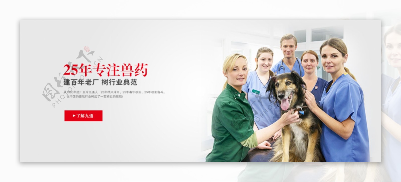 兽药企业网页banner设计