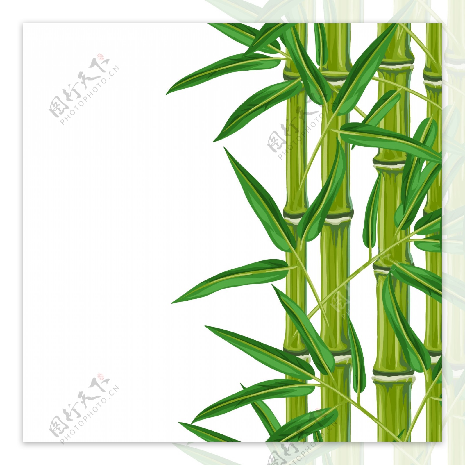 绿色青翠的竹子插画