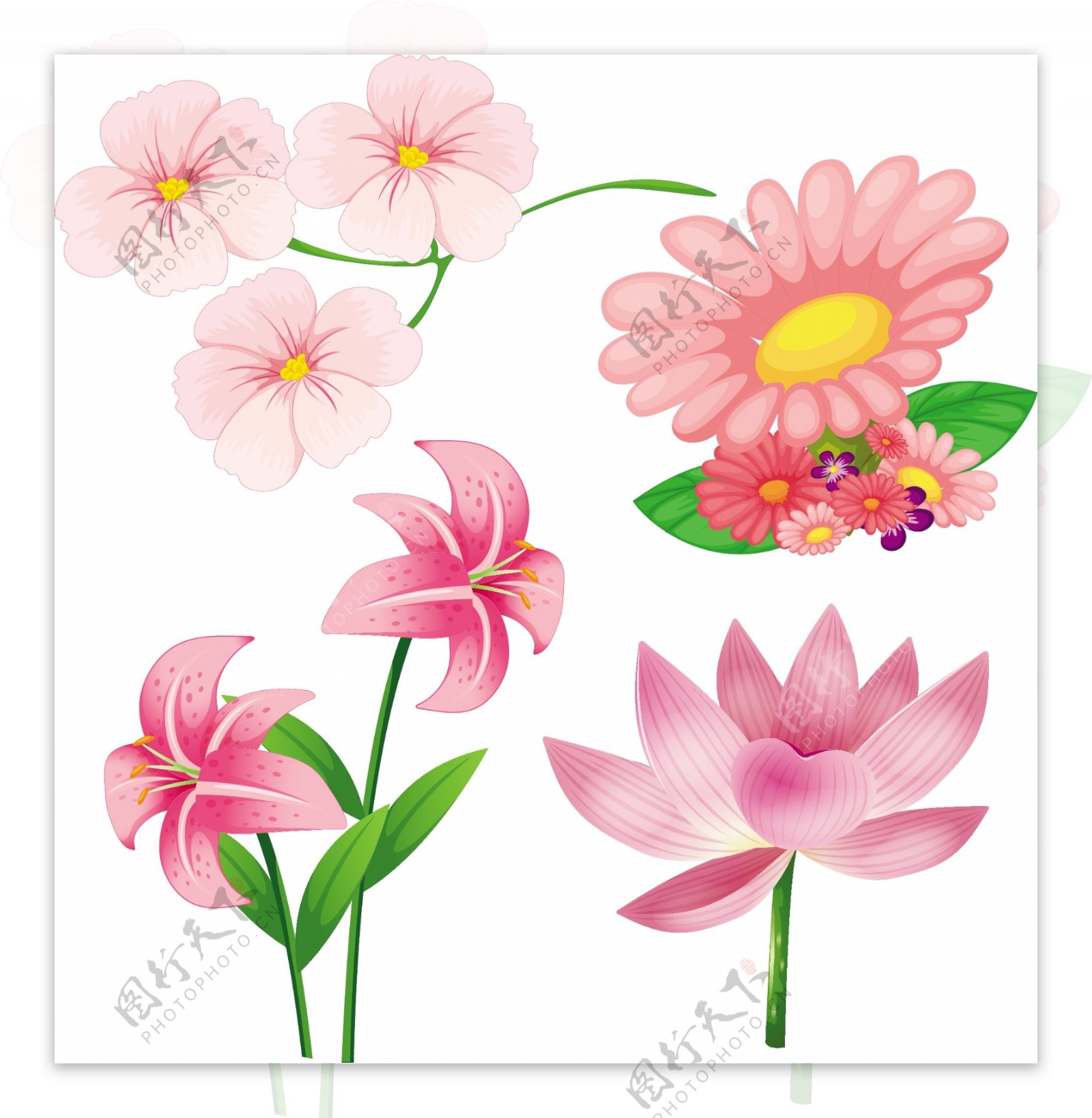 不同的粉红色的花朵插画矢量素材
