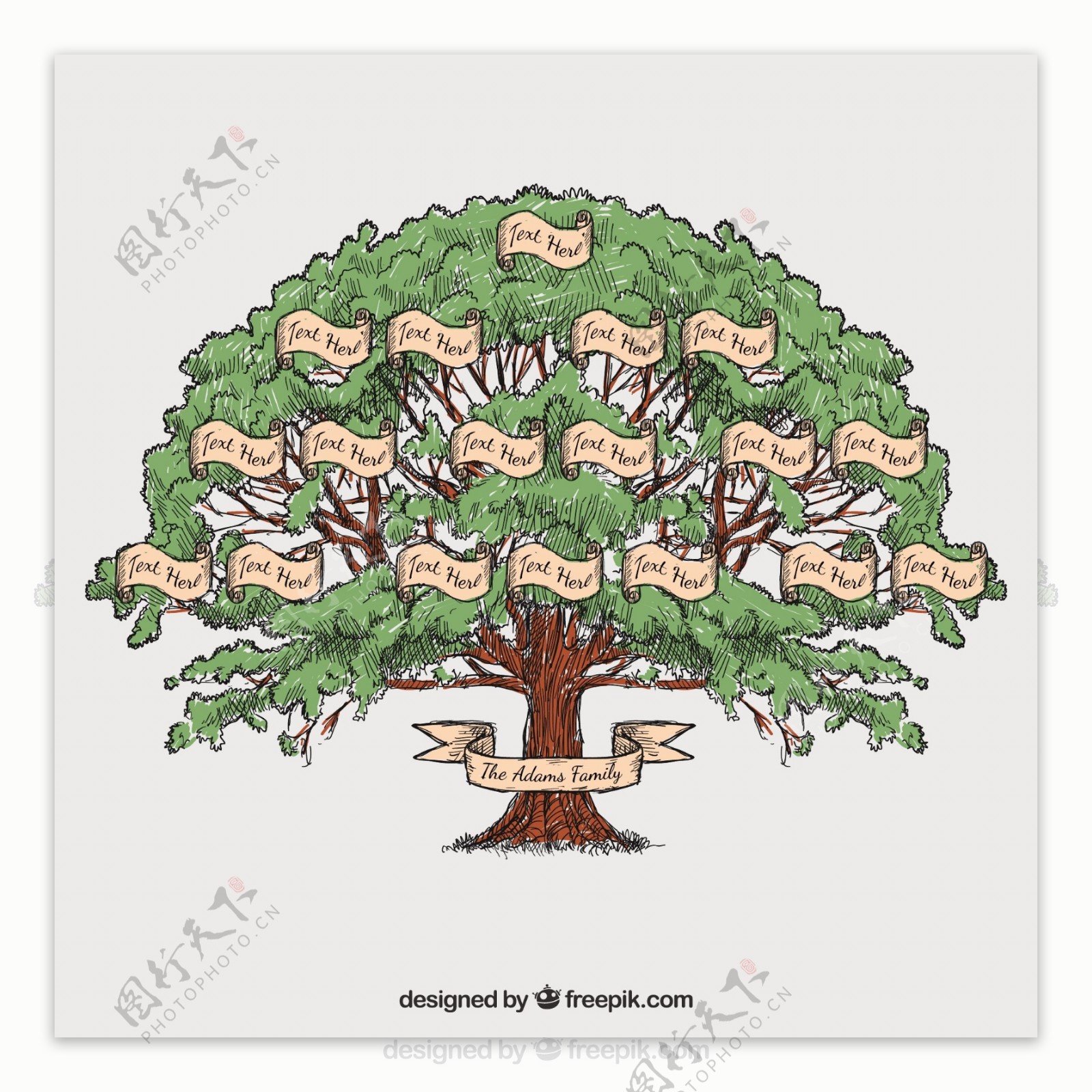 手绘家庭树