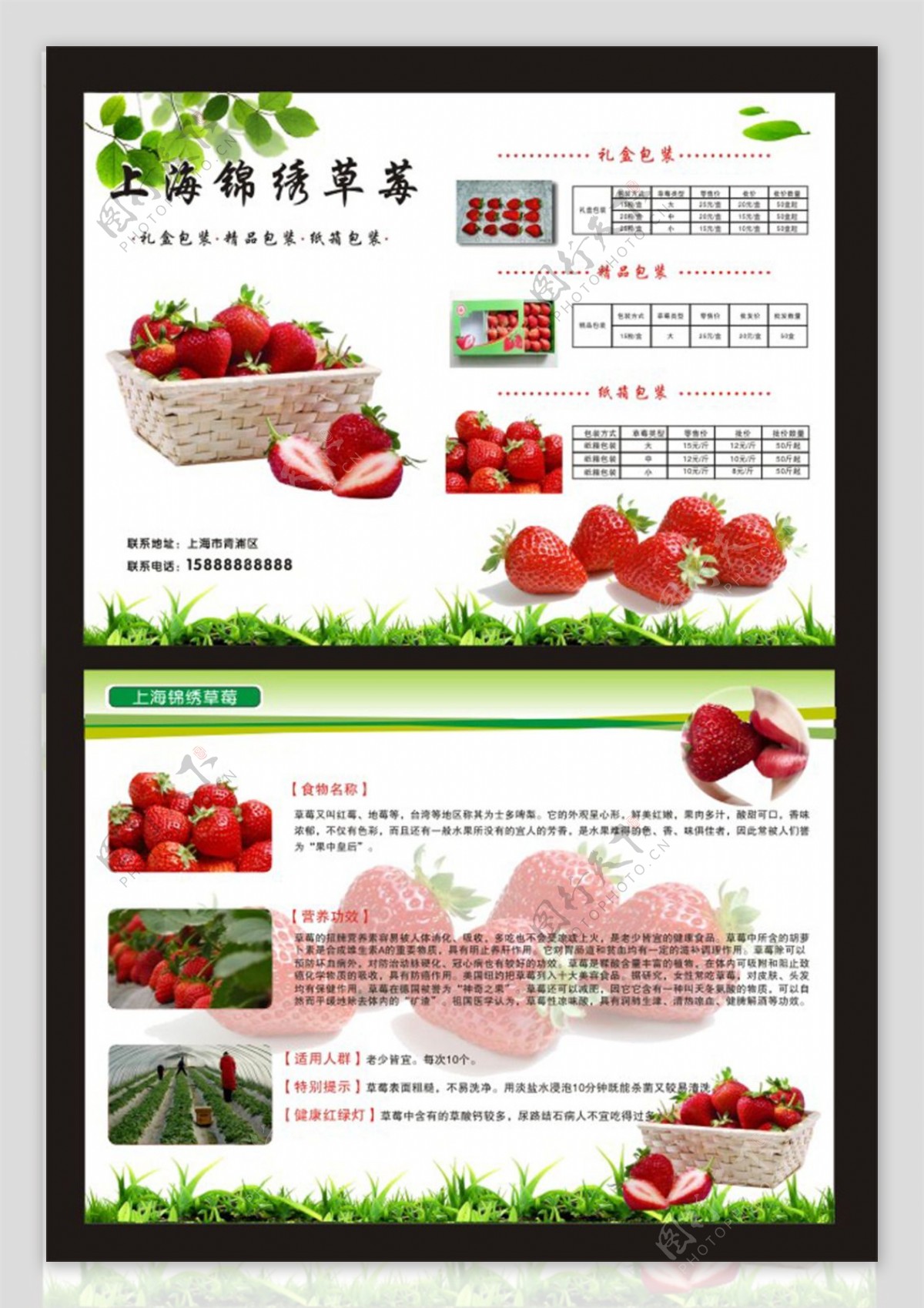 草莓园传单