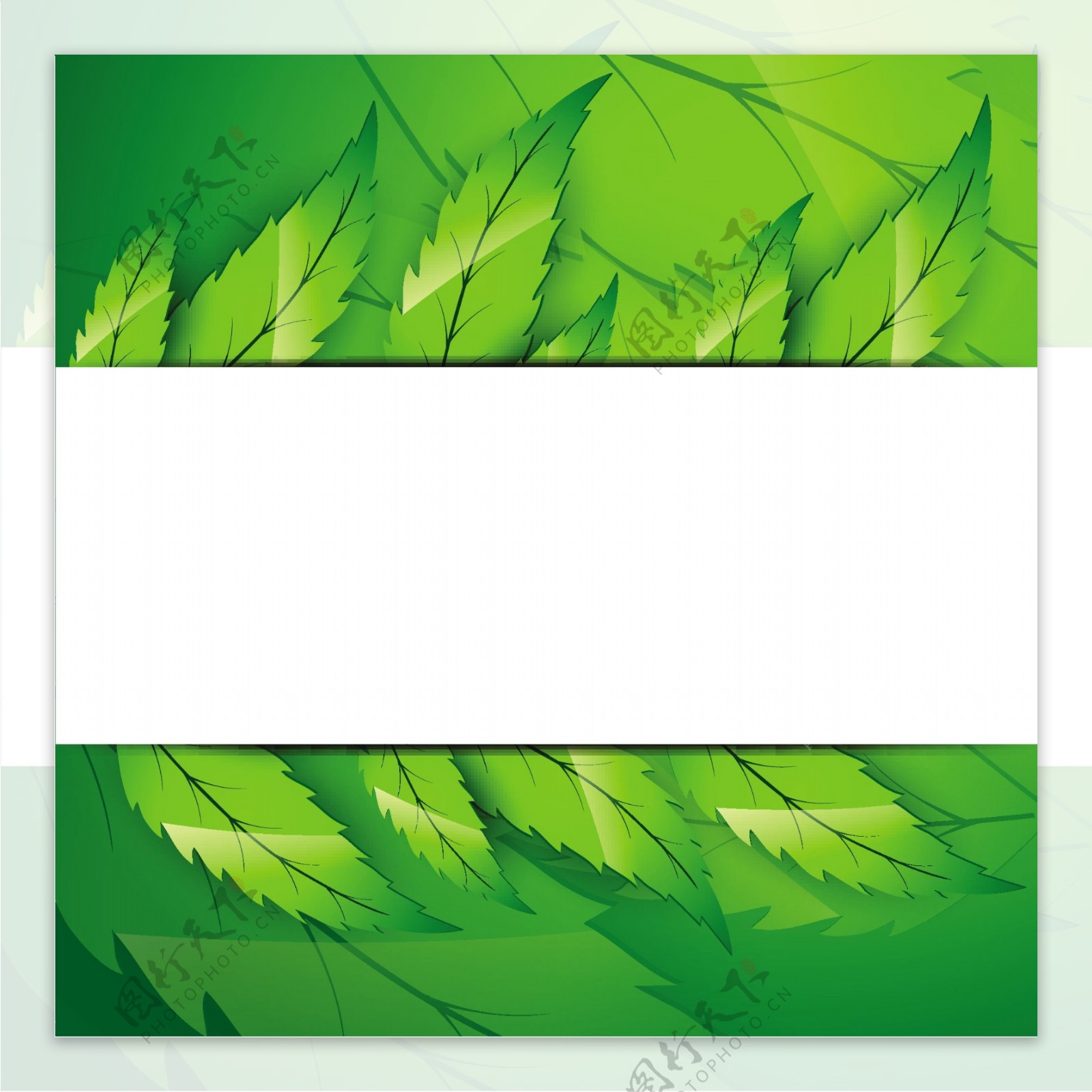 自然的绿色旗帜