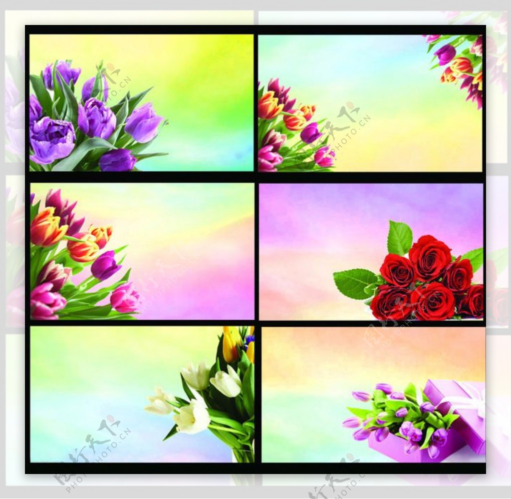 唯美鲜花花卉背景名片卡片设计PSD素材
