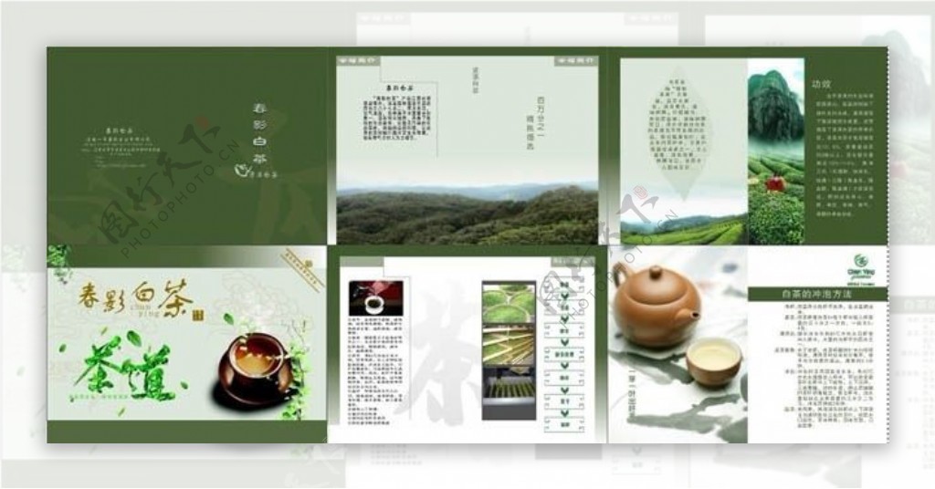 茶叶画册设计矢量素材