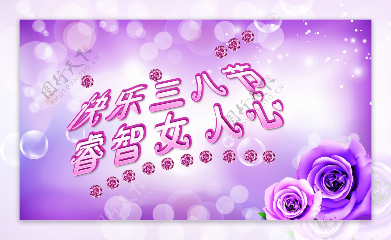 紫色玫瑰花女人节